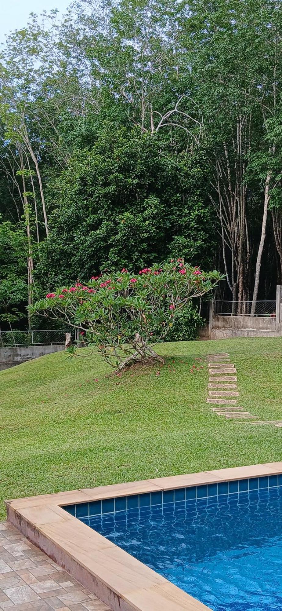Wow !! Super Cool !! Jungle View Pool !! - Thailand Feriehus Krabi By